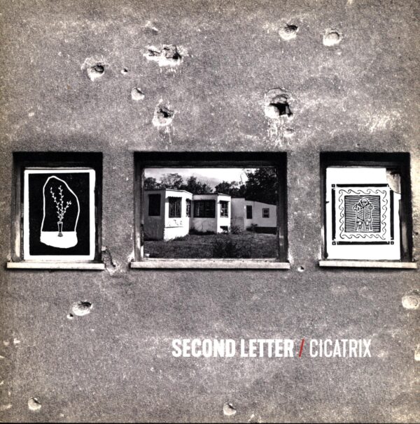 Second Letter-Cicatrix silver-gold-LP Vinyl