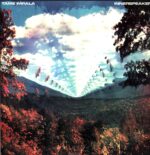 Tame Impala-Innerspeaker-LP Vinyl