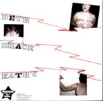 The Gossip-Arkansas Heat signed-10 Vinyl