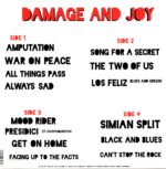 The Jesus And Mary Chain-Damage And Joy-LP Vinyl