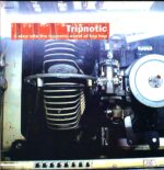 Various-Tripnotic A Step Into The Hypnotic World Of Trip Hop-LP Vinyl