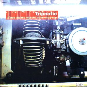 Various-Tripnotic A Step Into The Hypnotic World Of Trip Hop-LP Vinyl