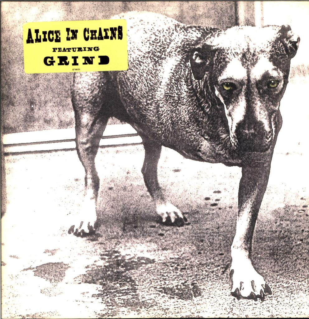 Alice In Chains-Alice In Chains-US LP Vinyl