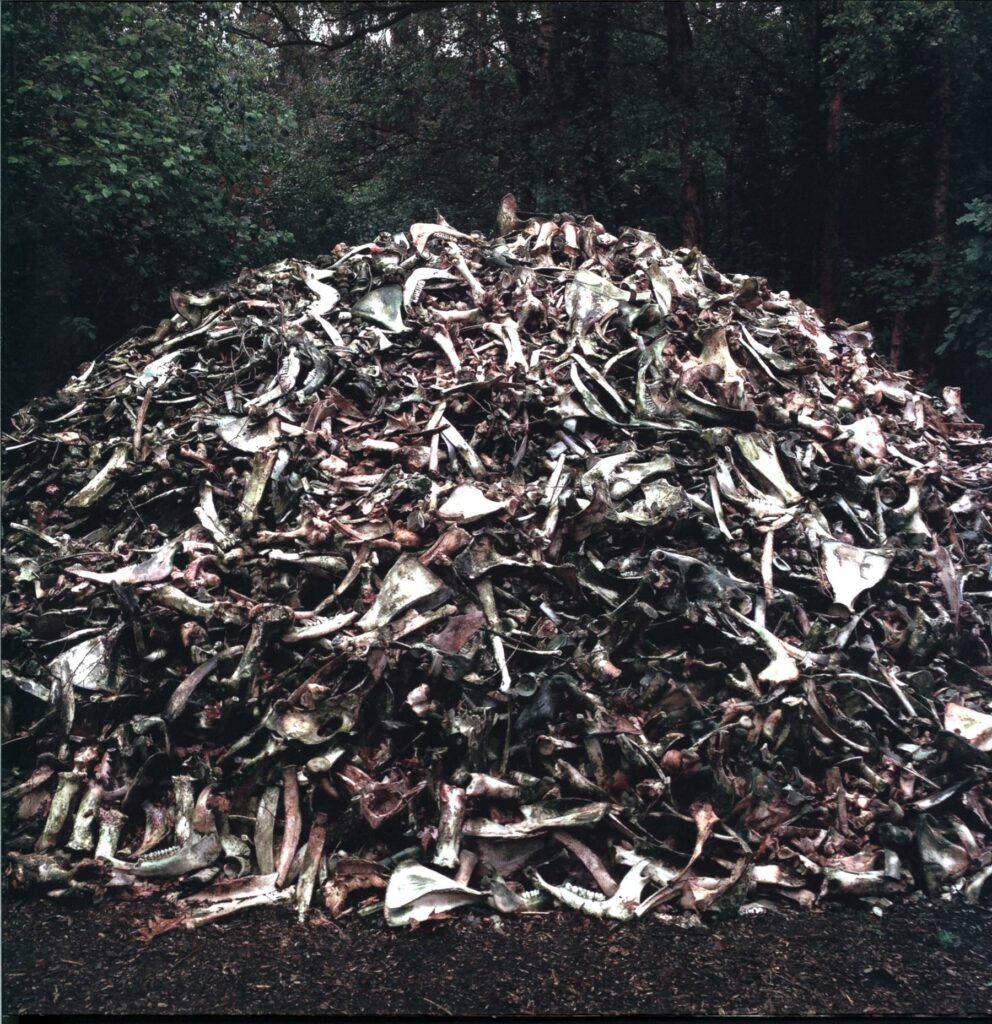 Briqueville-II bone forest splatter-LP Vinyl