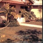 Helmet-Betty-US 10 Vinyl