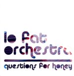 Lo Fat Orchestra-Questions For Honey-LP Vinyl