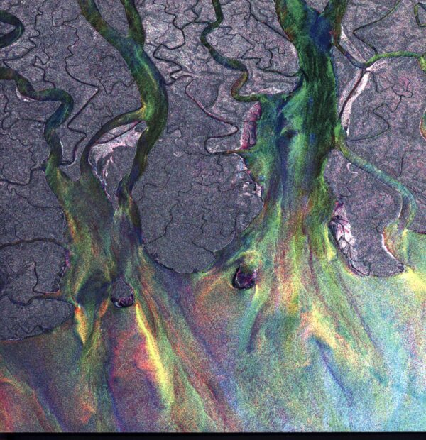 Alt-J-An Awesome Wave-white LP Vinyl