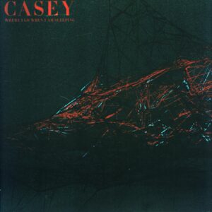 Casey-Where I Go When I Am Sleeping-red-green splatter LP Vinyl