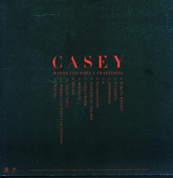 Casey-Where I Go When I Am Sleeping-red-green splatter LP Vinyl