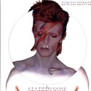 David Bowie-Aladdin Sane-picture LP Vinyl