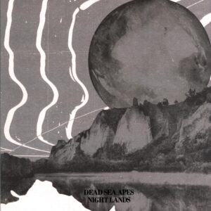 Dead Sea Apes-Night Lands clear black stripe-LP Vinyl