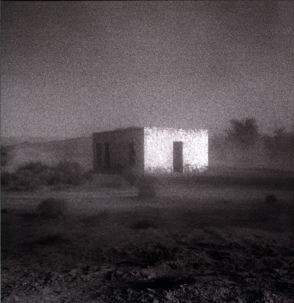 Godspeed You Black Emperor!-'Allelujah! Don't Bend Ascend-LP Vinyl