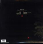 Knocked Loose-You Won't Go Before You're Supposed To-algae marble LP Vinyl