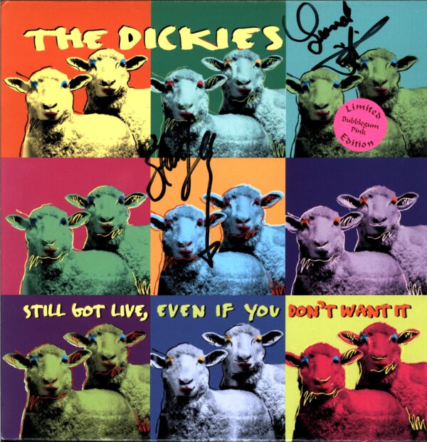 The Dickies-Still Got Live Even If You Don't Want It pink signed-LP Vinyl