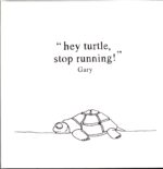 Gary-Hey Turtle Stop Running!-LP Vinyl