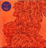 Nubiyan Twist-Find Your Flame-white LP Vinyl