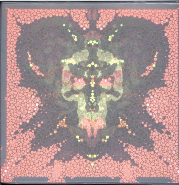 Danger Doom-The Mouse And The Mask-LP Vinyl