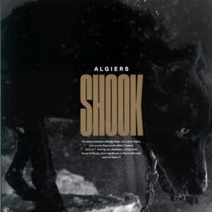 Algiers-Shook-gold LP Vinyl