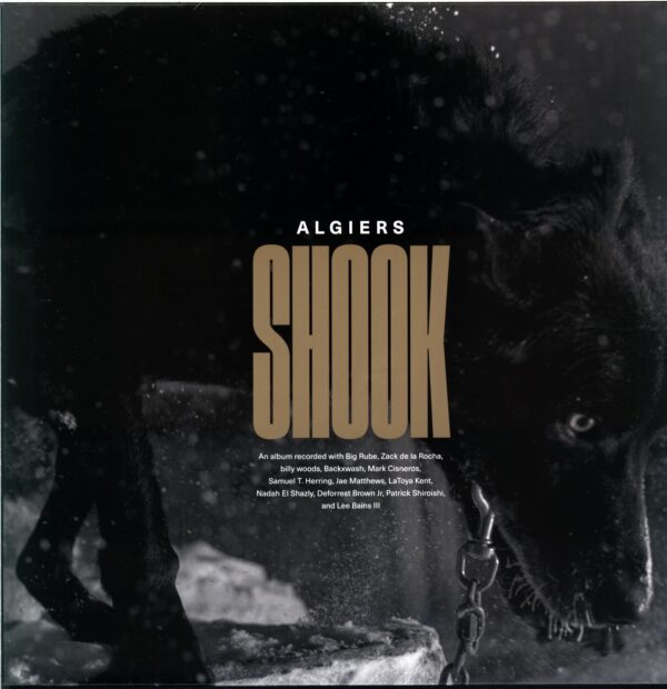 Algiers-Shook-gold LP Vinyl