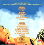 Blink-182-Buddha US 1998-LP Vinyl