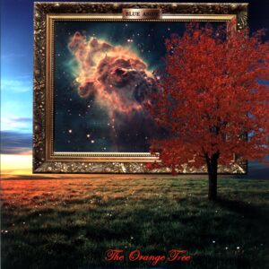 Blue Aside-The Orange Tree red orange marble-12 Vinyl