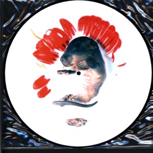 Dÿse-Dÿse Picture Disc-LP Vinyl