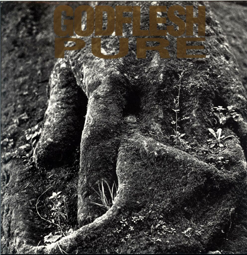 Godflesh-Pure-LP Vinyl
