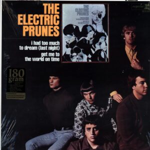 The Electric Prunes-The Electric Prunes Rhino 180 gram reissue-LP Vinyl