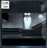 EA80-Definitiv Nein!-LP Vinyl