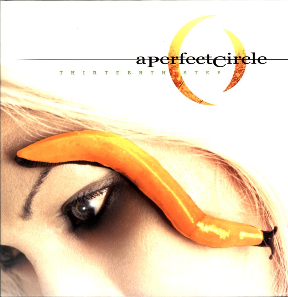 A Perfect Circle-Thirteenth Step EU 2003-LP Vinyl