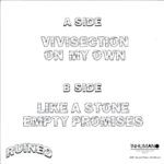 Ruined-ST second-7 Vinyl