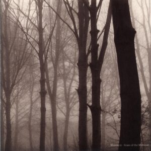 Blueneck-Scars Of The Midwest-LP Vinyl