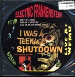 Electric Frankenstein-I Was A Teenage Shutdown Picture Disc-LP Vinyl