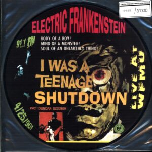 Electric Frankenstein-I Was A Teenage Shutdown Picture Disc-LP Vinyl