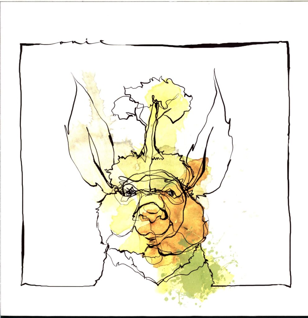 Acid Pauli-Call Of The Valley -12 Vinyl