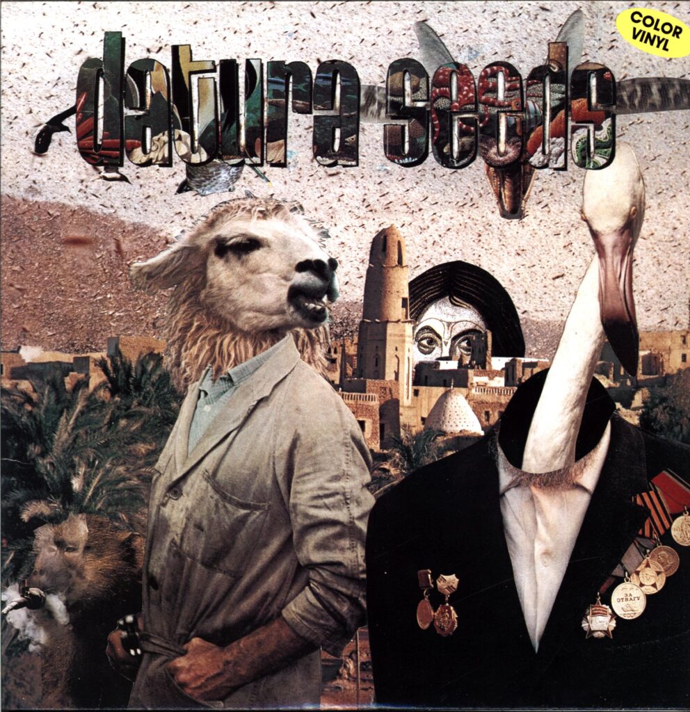 Datura Seeds-Who Do You Want It To Be blue-LP Vinyl