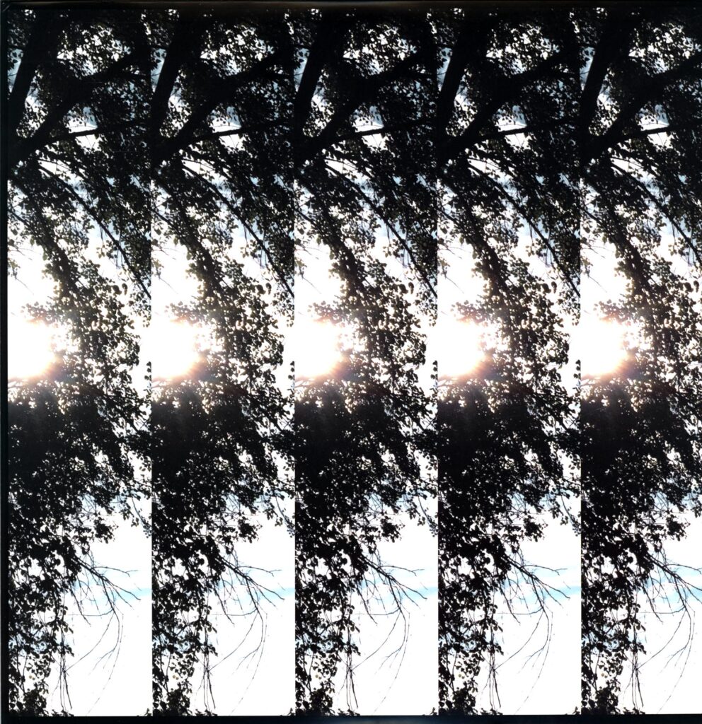 Pontiak-Dialectic Of Ignorance-LP Vinyl