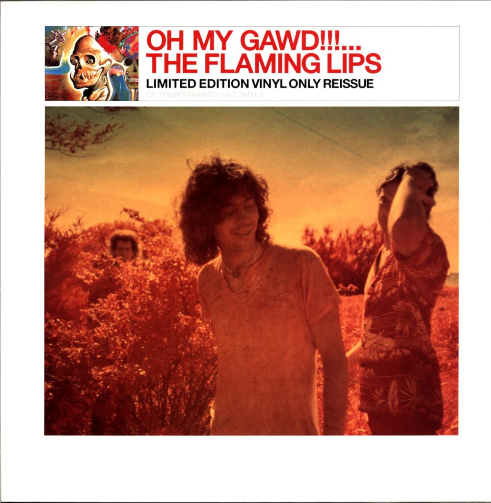 The Flaming Lips-Oh My Gawd!!!...The Flaming Lips RE US 2005-LP Vinyl