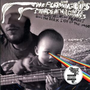 The Flaming Lips-The Dark Side Of The Moon-LP Vinyl