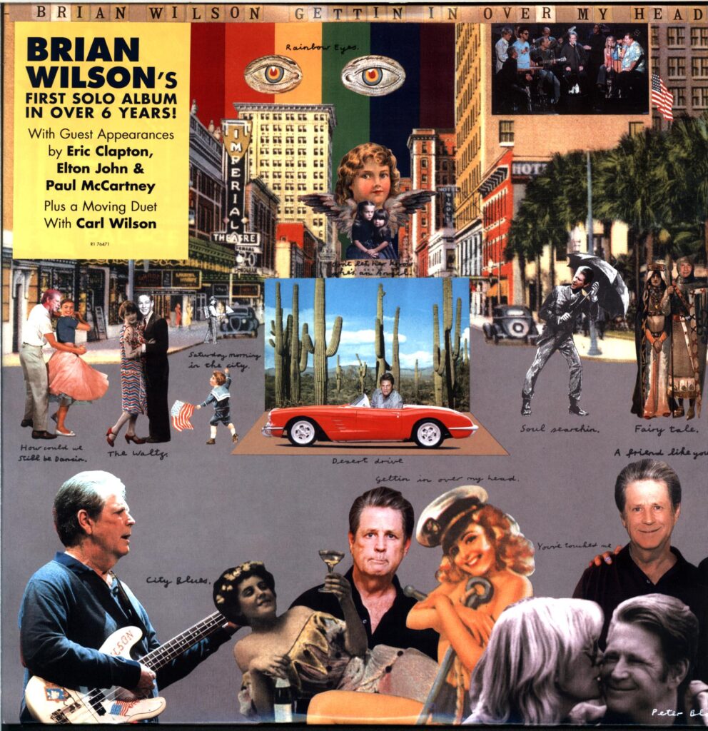 Brian Wilson-Gettin' In Over My Head-LP Vinyl