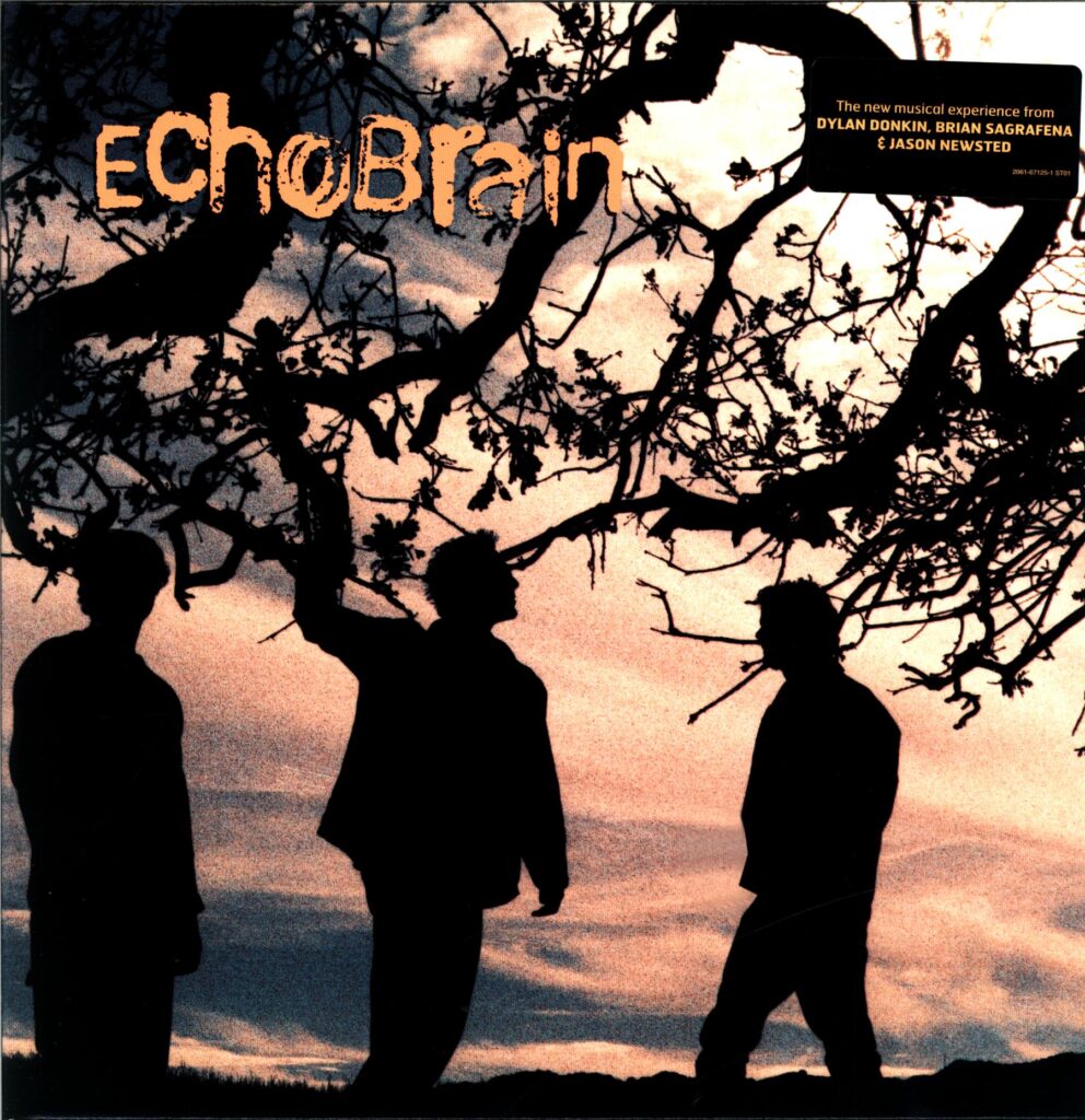 EchoBrain-EchoBrain-LP Vinyl