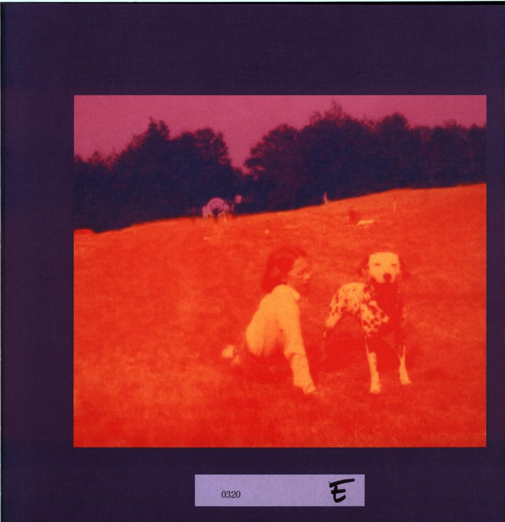 Eels-Blinking Lights And Other Revelations-LP Vinyl