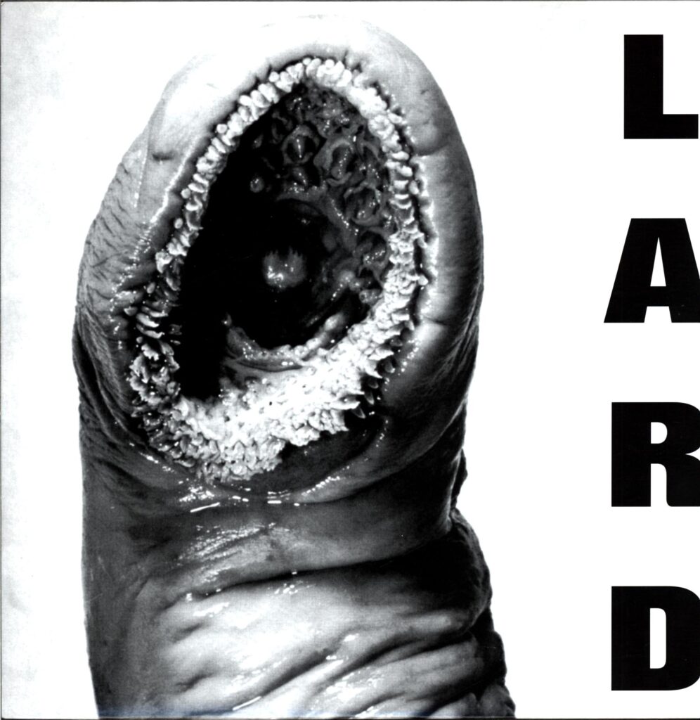 Lard-Power Of Lard EP RE US 2010-LP Vinyl