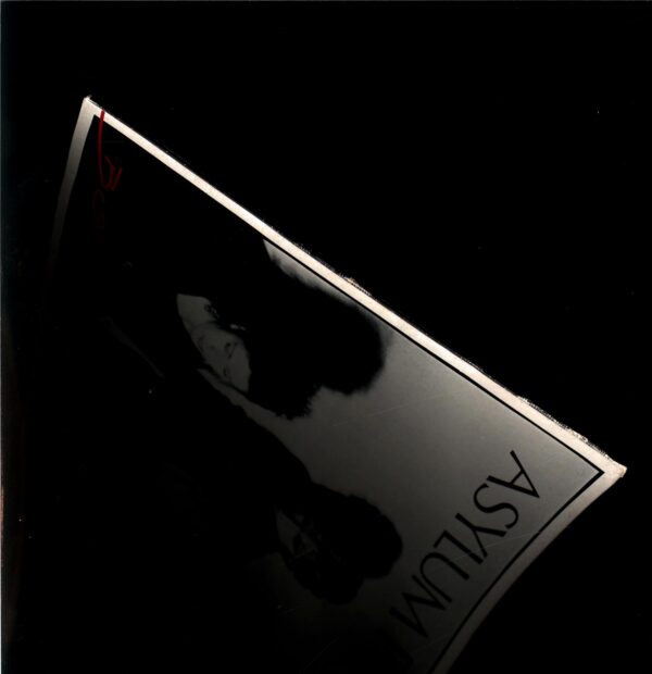 Asylum Party-Borderline-LP Vinyl