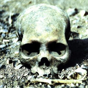 Bone Man-II signed-LP Vinyl
