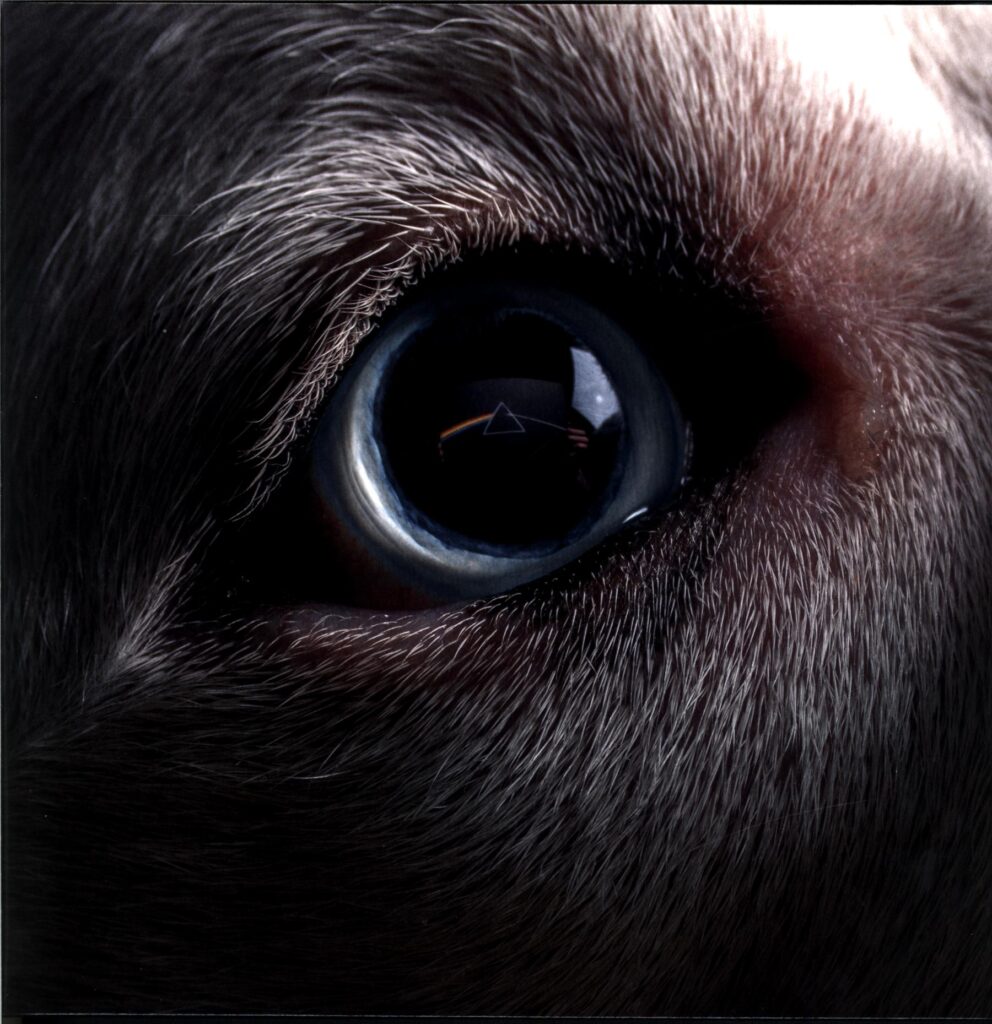 Roger Waters-The Dark Side Of The Moon Redux white-LP Vinyl