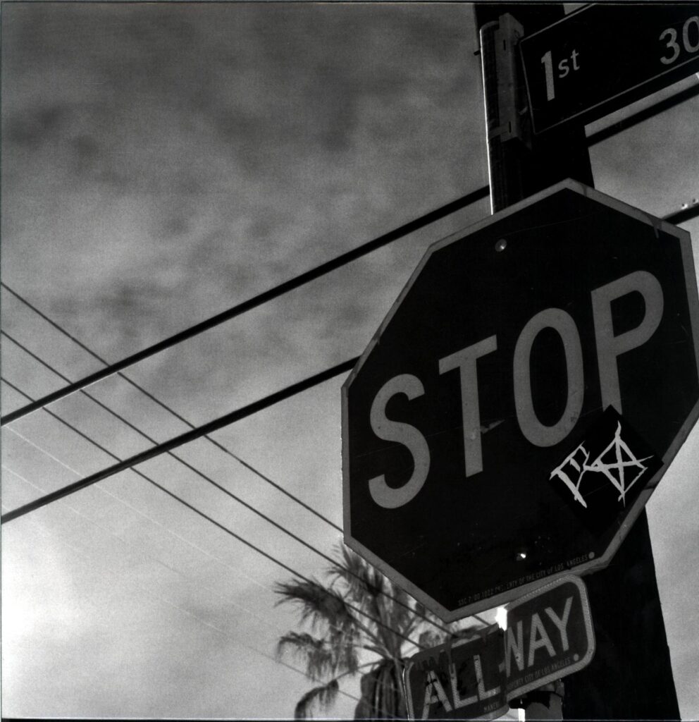 Rotting Out-Street Prowl red marble-LP Vinyl