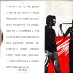 The Slickee Boys-When I Go To The Beach You've Got What It Takes-7 Vinyl