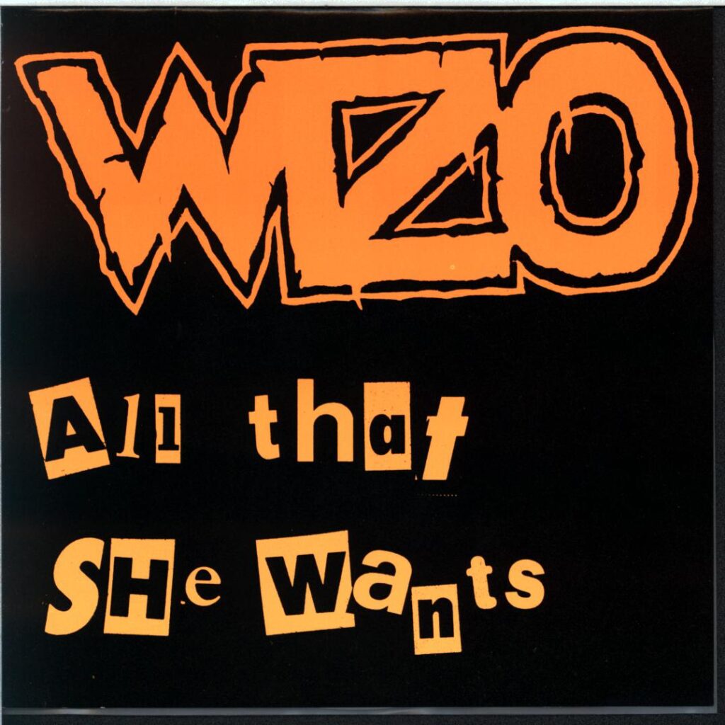 WIZO-All That She Wants-clear 7 Vinyl