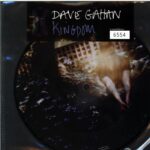 Dave Gahan-Kingdom-7 Vinyl picture disc